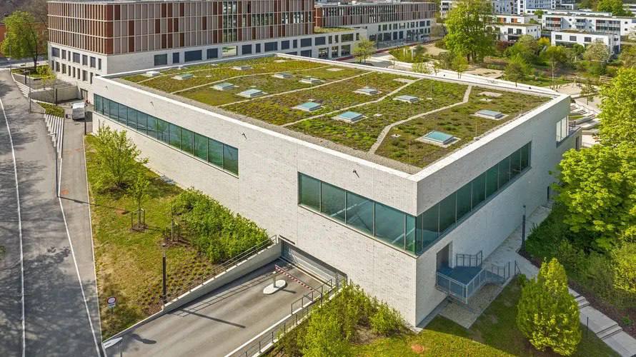 Плоский дах з ландшафтним дизайном